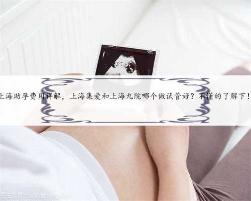 上海助孕费用详解，上海集爱和上海九院哪个做试管好？不懂的了解下！