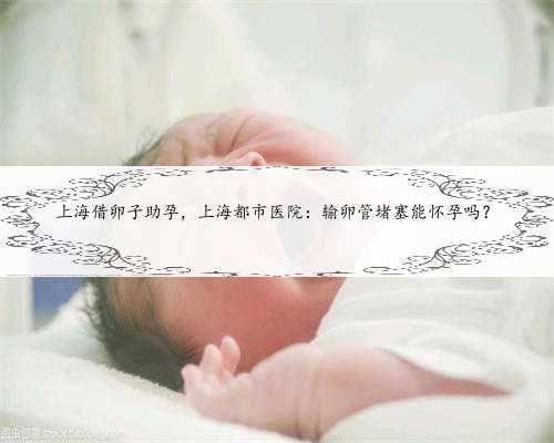 上海借卵子助孕，上海都市医院：输卵管堵塞能怀孕吗？