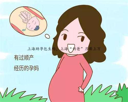 上海助孕包生吗，上海“奶爸”月薪上万