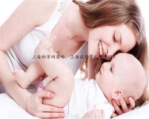 上海助孕网咨询，上海试管婴儿多少钱？