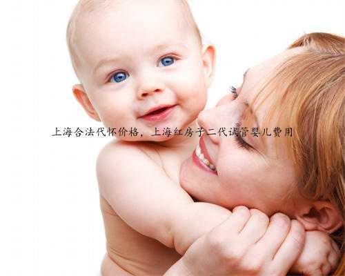 上海合法代怀价格，上海红房子二代试管婴儿费用