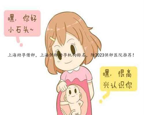 <b>上海助孕借卵，上海供卵助孕机构排名，附2023供卵医院推荐！</b>
