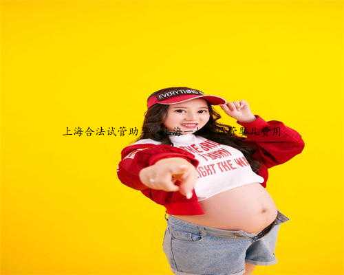 上海合法试管助孕，上海一妇婴试管婴儿费用