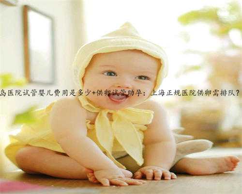 <b>上海助孕供卵，青岛医院试管婴儿费用是多少 供卵试管助孕：上海正规医院供</b>