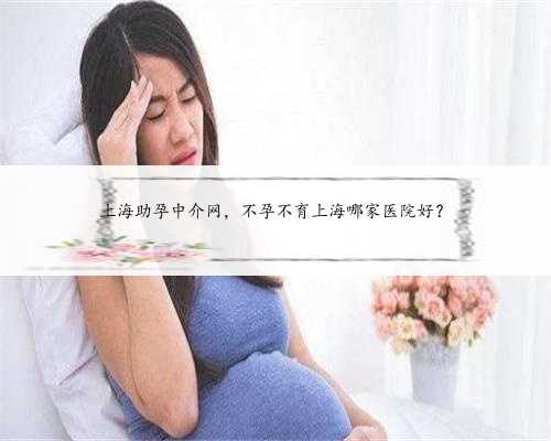 上海助孕中介网，不孕不育上海哪家医院好？