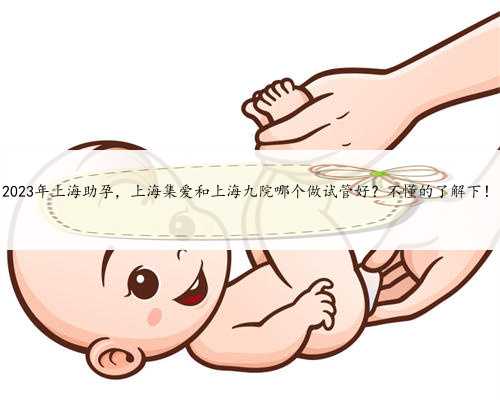 2023年上海助孕，上海集爱和上海九院哪个做试管好？不懂的了解下！