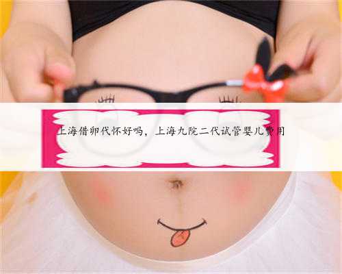 上海借卵代怀好吗，上海九院二代试管婴儿费用