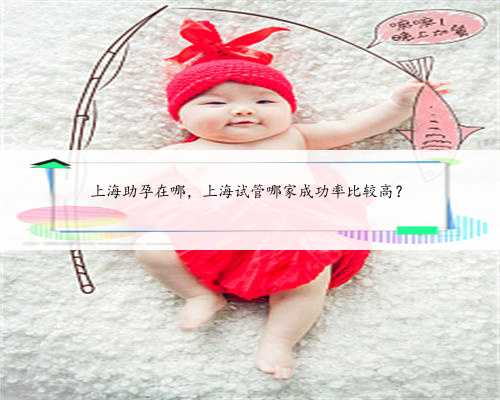 <b>上海助孕在哪，上海试管哪家成功率比较高？</b>