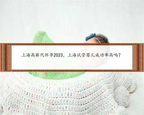 上海高薪代怀孕2023，上海试管婴儿成功率高吗？