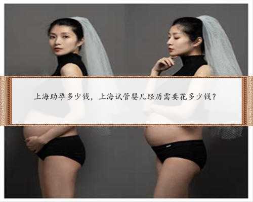 上海助孕多少钱，上海试管婴儿经历需要花多少钱？