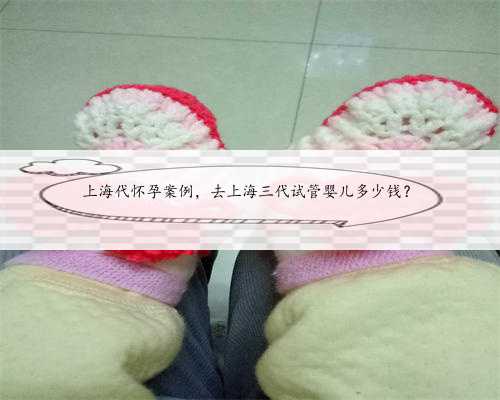 上海代怀孕案例，去上海三代试管婴儿多少钱？