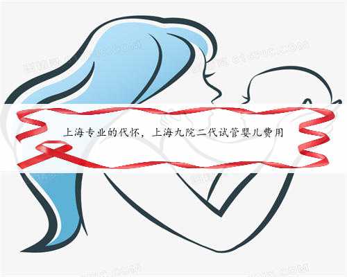 上海专业的代怀，上海九院二代试管婴儿费用