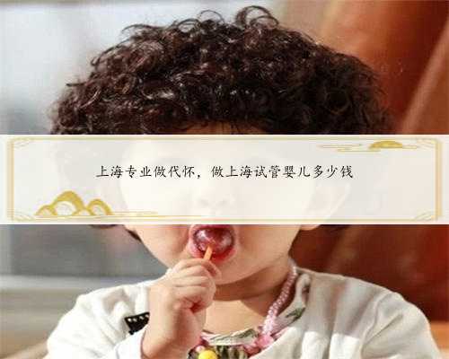 上海专业做代怀，做上海试管婴儿多少钱
