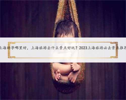 <b>上海助孕哪里好，上海旅游去什么景点好玩？2023上海旅游必去景点推荐</b>