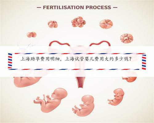 上海助孕费用明细，上海试管婴儿费用大约多少钱？