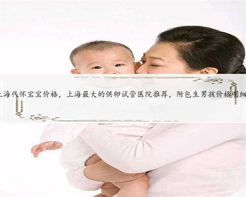 上海代怀宝宝价格，上海最大的供卵试管医院推荐，附包生男孩价格明细!