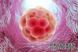 供卵试管代码-供卵试管数量_试管代孕成功率有多大-做试管代孕需要做哪些检查