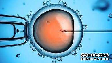 试管代孕多少钱机构-人工供卵试管违法吗_有供卵代孕-哪里可以做试管代孕_世