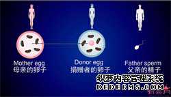 胚胎供卵试管协议-供卵试管代孕费用多少_促排卵会把卵子提前用光吗？ 
