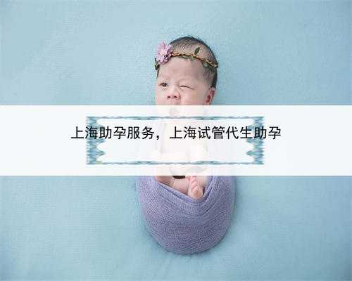 上海助孕服务，上海试管代生助孕