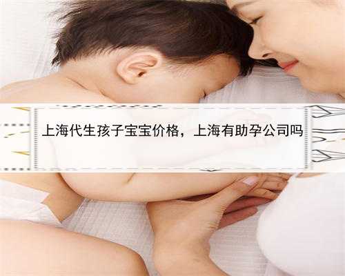 上海代生孩子宝宝价格，上海有助孕公司吗