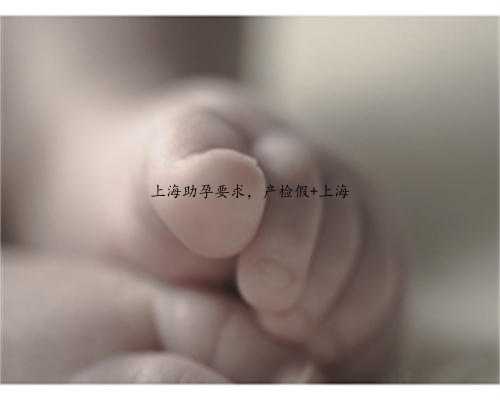 上海助孕要求，产检假 上海