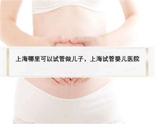 上海哪里可以试管做儿子，上海试管婴儿医院