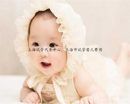 <b>上海试管代生中心，上海市试管婴儿费用</b>