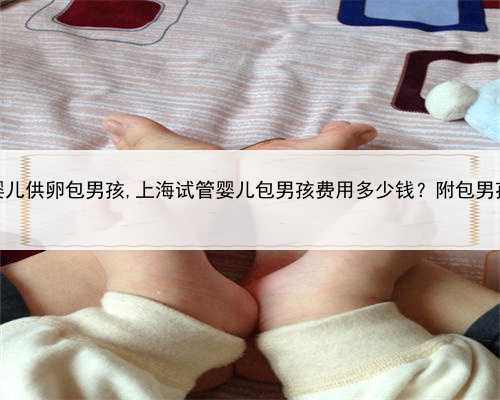 上海试管婴儿供卵包男孩,上海试管婴儿包男孩费用多少钱？附包男孩费用明细
