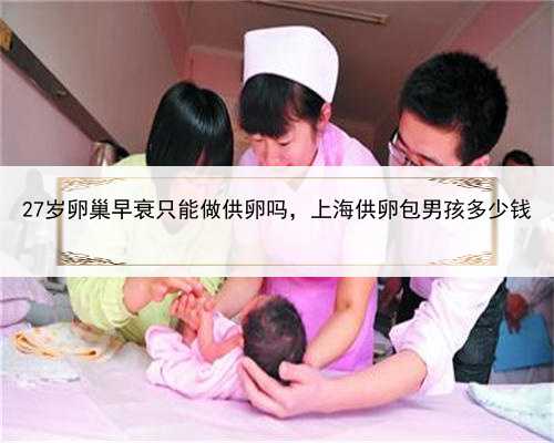 27岁卵巢早衰只能做供卵吗，上海供卵包男孩多少钱