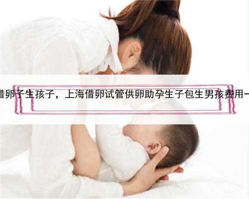 上海借卵子生孩子，上海借卵试管供卵助孕生子包生男孩费用一览！
