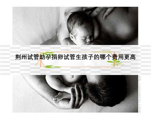 荆州试管助孕捐卵试管生孩子的哪个费用更高