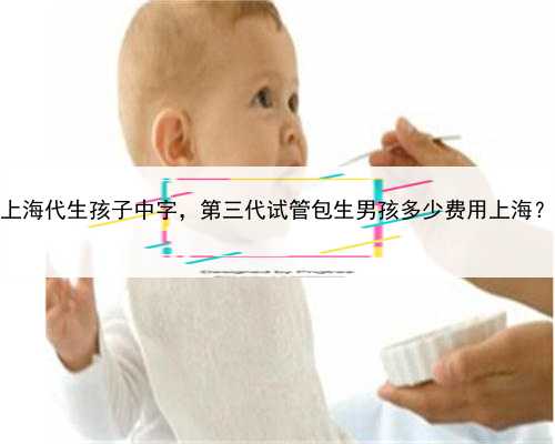 上海代生孩子中字，第三代试管包生男孩多少费用上海？
