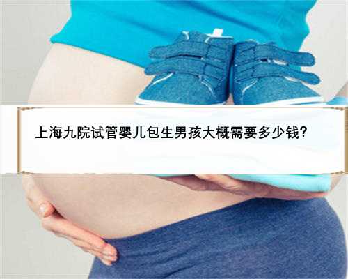 上海九院试管婴儿包生男孩大概需要多少钱？
